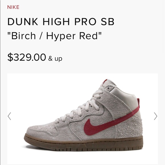 RARE Nike Dunk High Pros - Picture 5 of 5